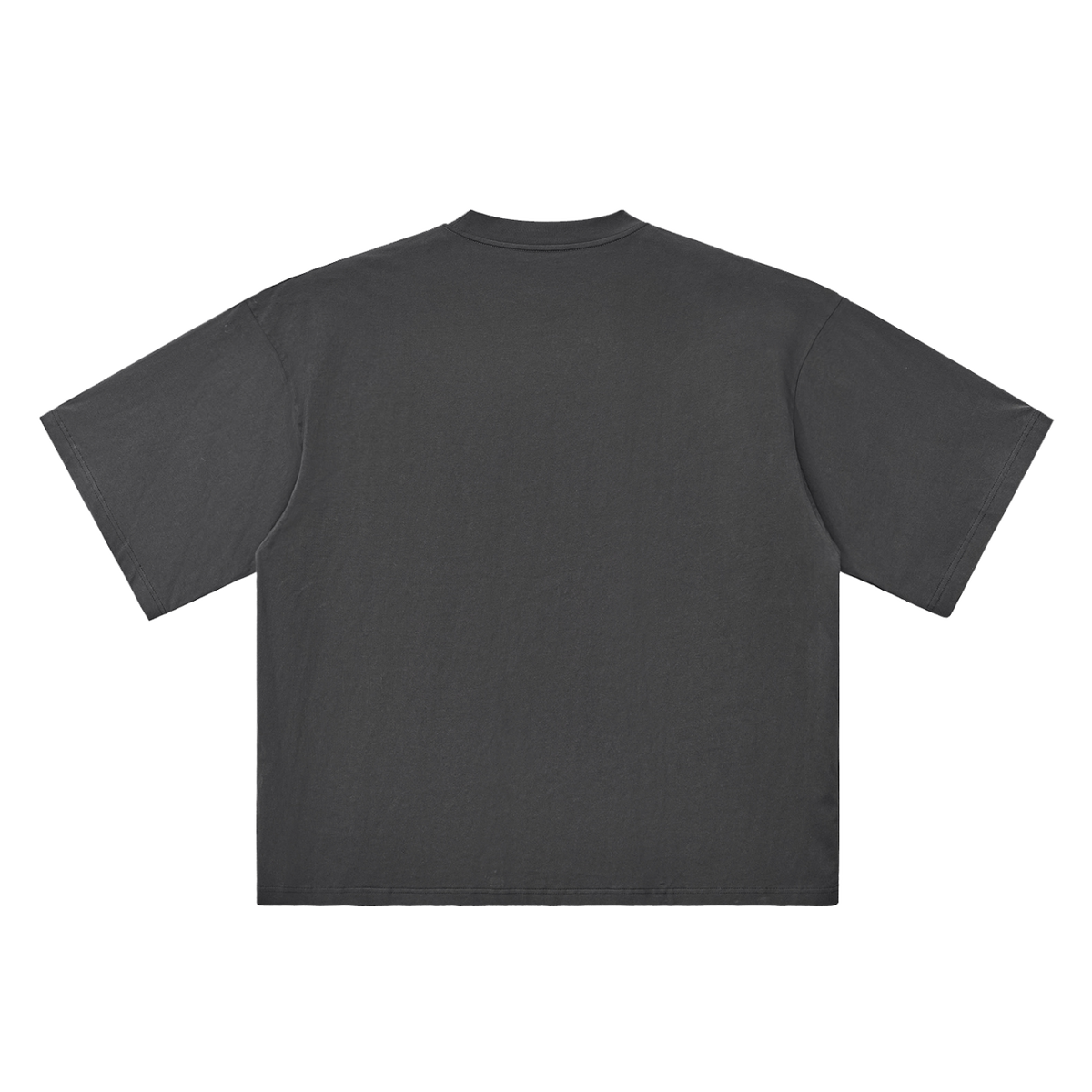 The Saif World Chrome Tee in Washed Graphite, back view